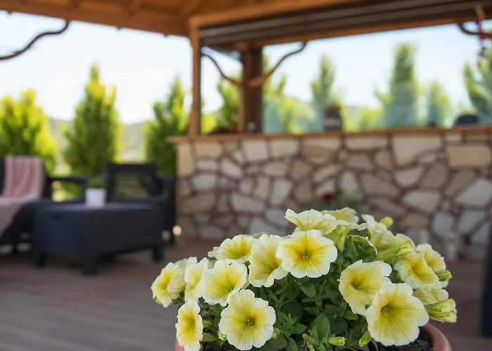 安斯米达公寓 公寓 *