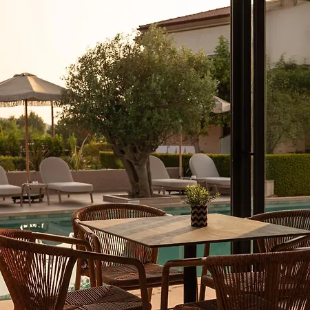 Anthemida Sykia Chalkidikis