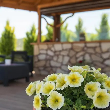 Anthemida Lägenhet *